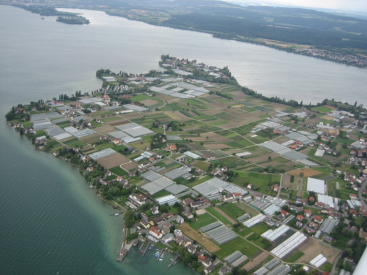 The island of Reichenau in Lake Constance, Baden-Württemberg, Germany, with the Münster church and vineyard landscape