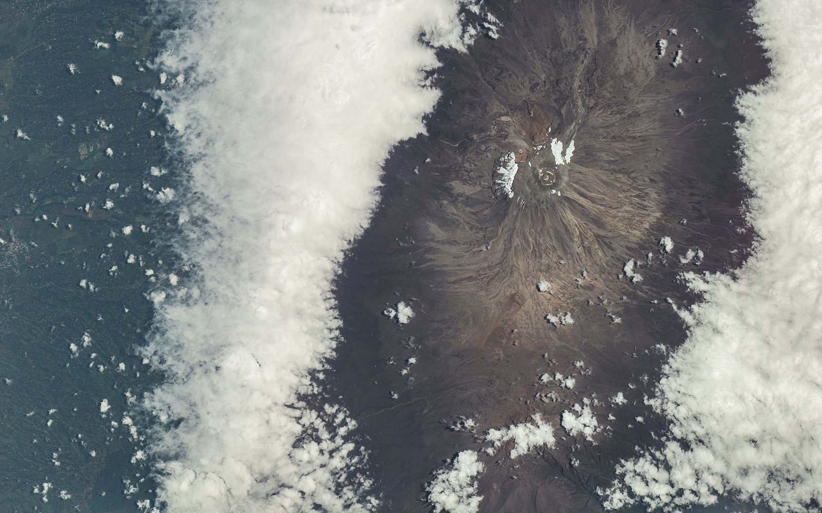 Snow-capped summit of Mount Kilimanjaro rising above clouds and savanna