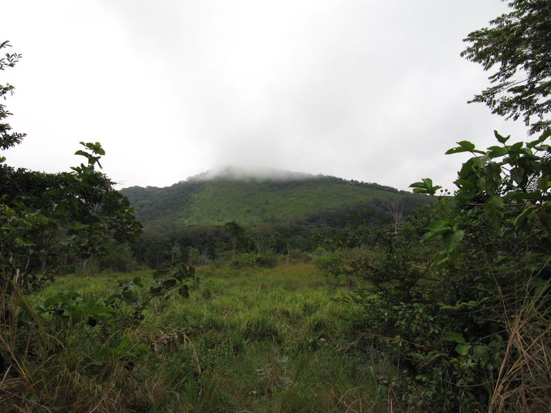 Forest-savanna mosaic landscape inside Lopé National Park, Gabon