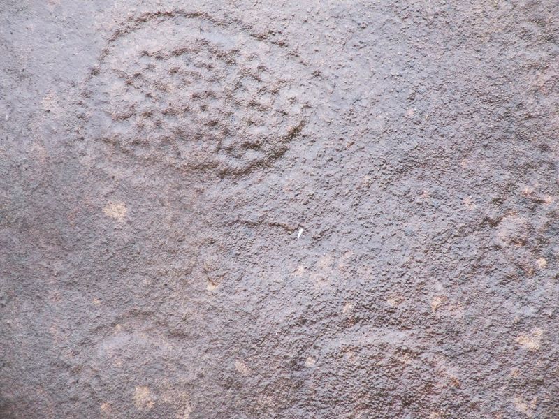 Prehistoric rock engravings on sandstone outcrops in Lopé National Park, Gabon