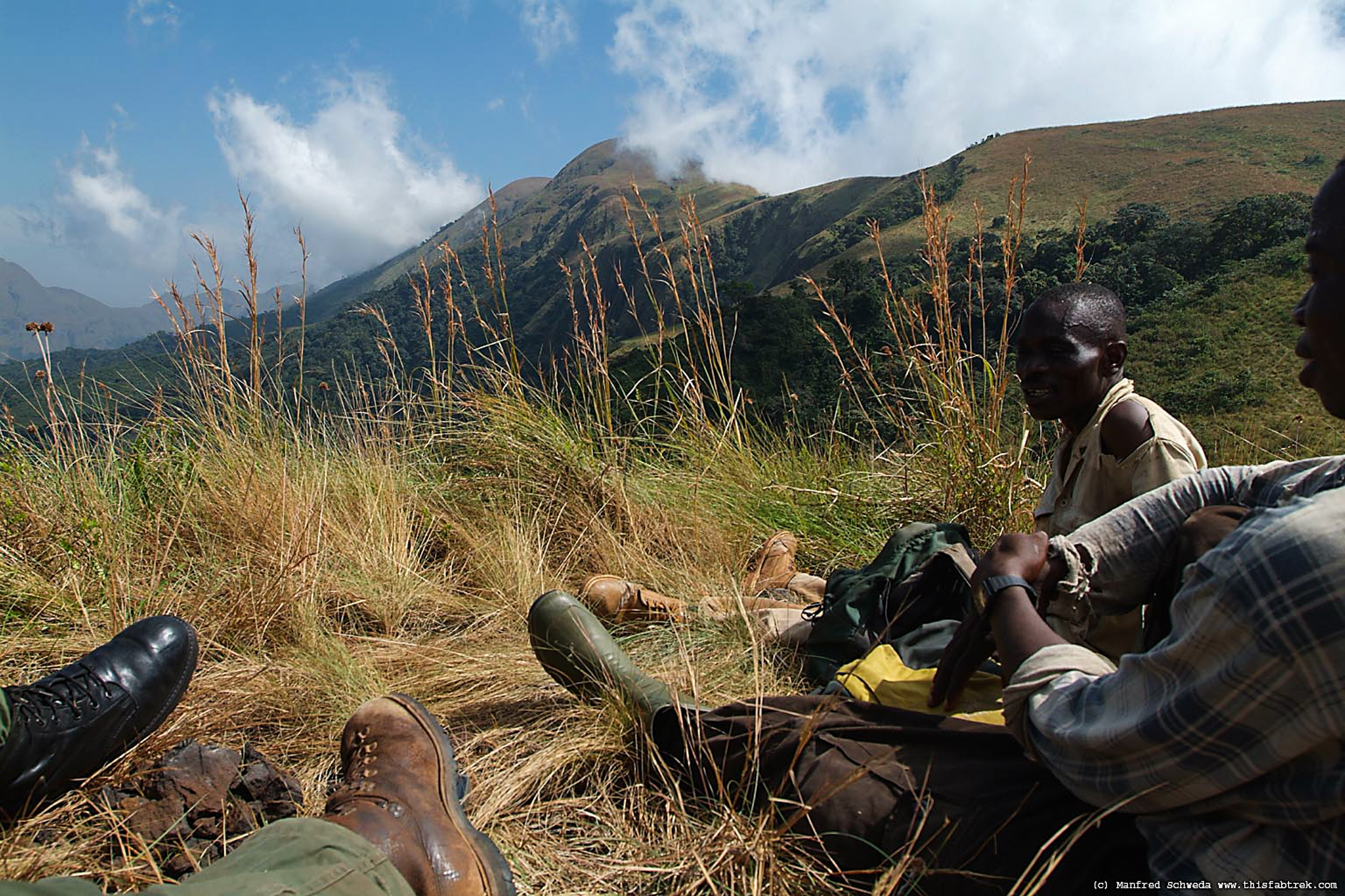 High-altitude grasslands above the forest zone on Mount Nimba massif