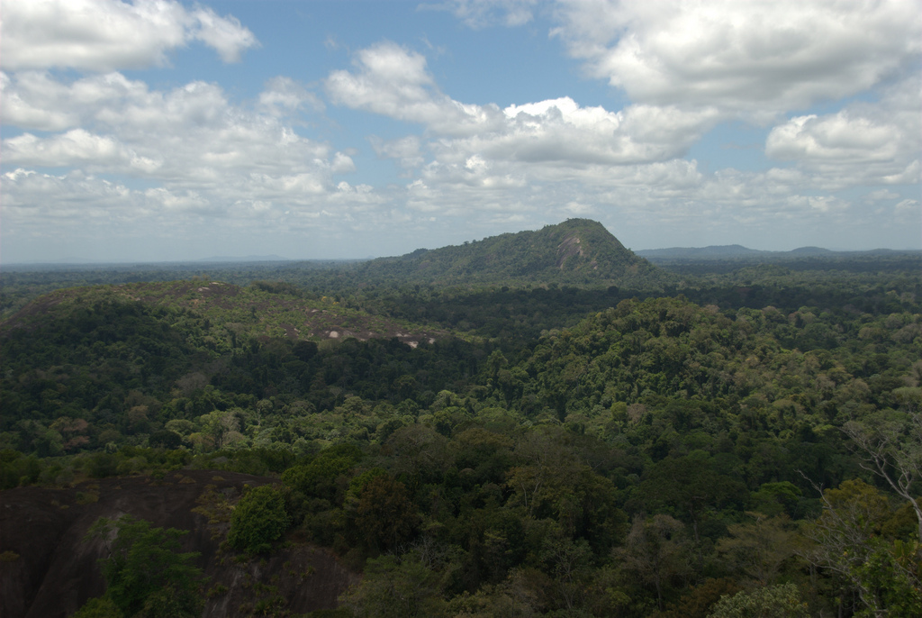 Granitic inselberg rising above undisturbed tropical rainforest canopy in Suriname interior