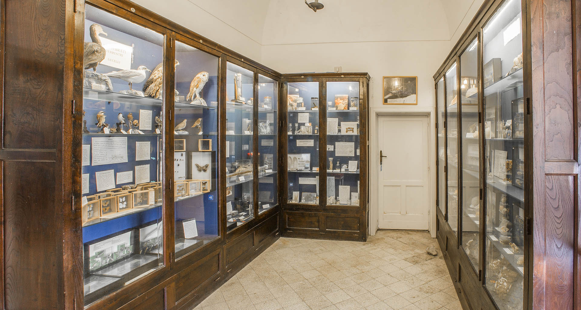 Ignazio Cerio Museum — via Wikimedia Commons Ignazio Cerio Museum — via Wikimedia Commons