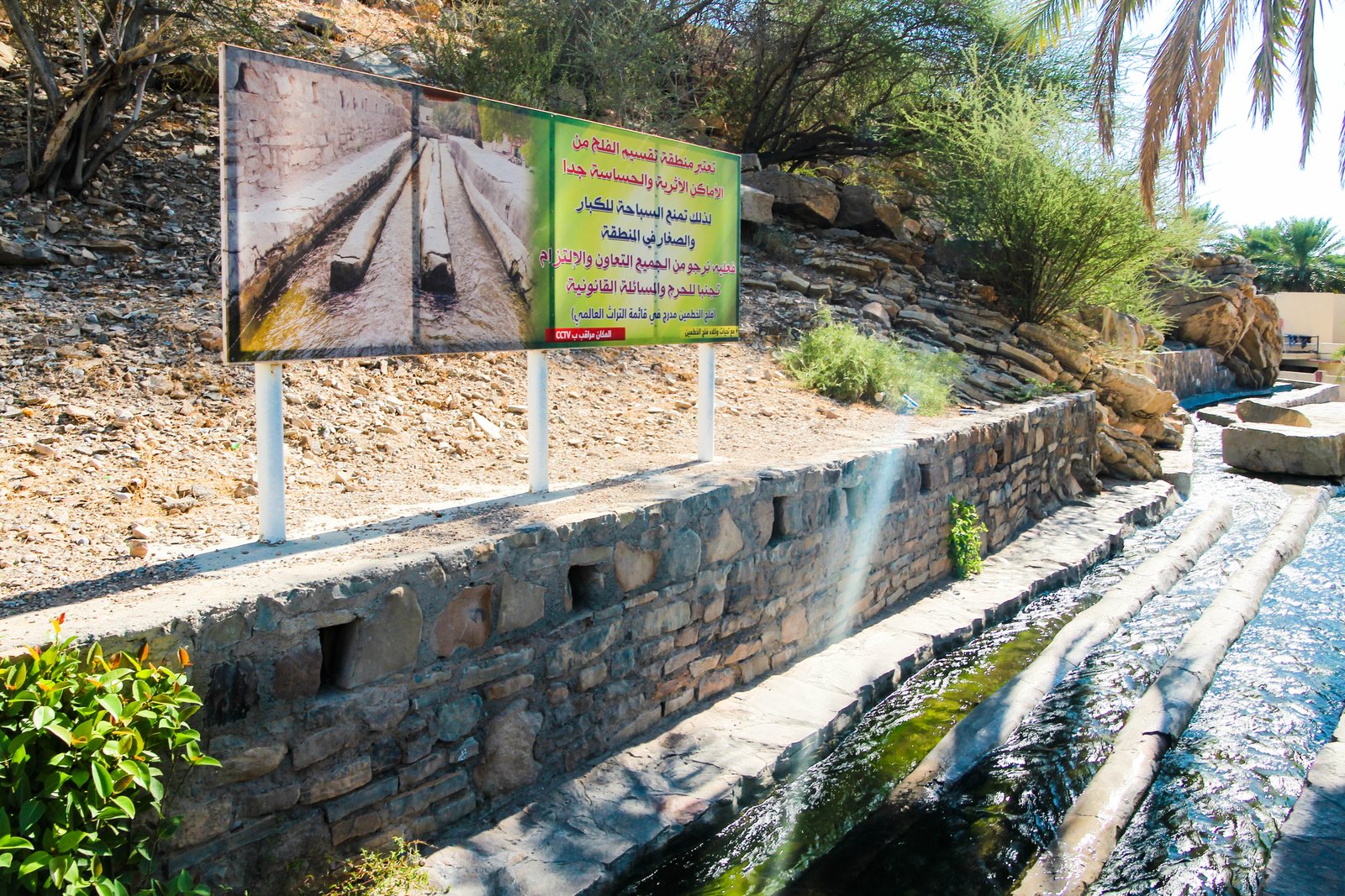 Falaj Al Khatmeen water channel flowing through stone-lined oasis at Birkat Al-Mawz, Oman