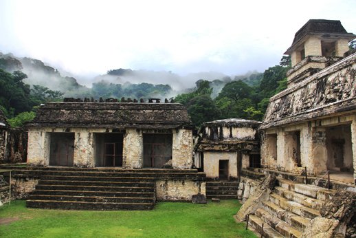 Stone palace complex with square tower rising above jungle canopy at Palenque Mexico