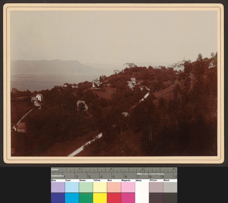 Herbs of the Appenzell Alps: Ulrich Jüstrich and the Botanical Heritage of JUST, 1930