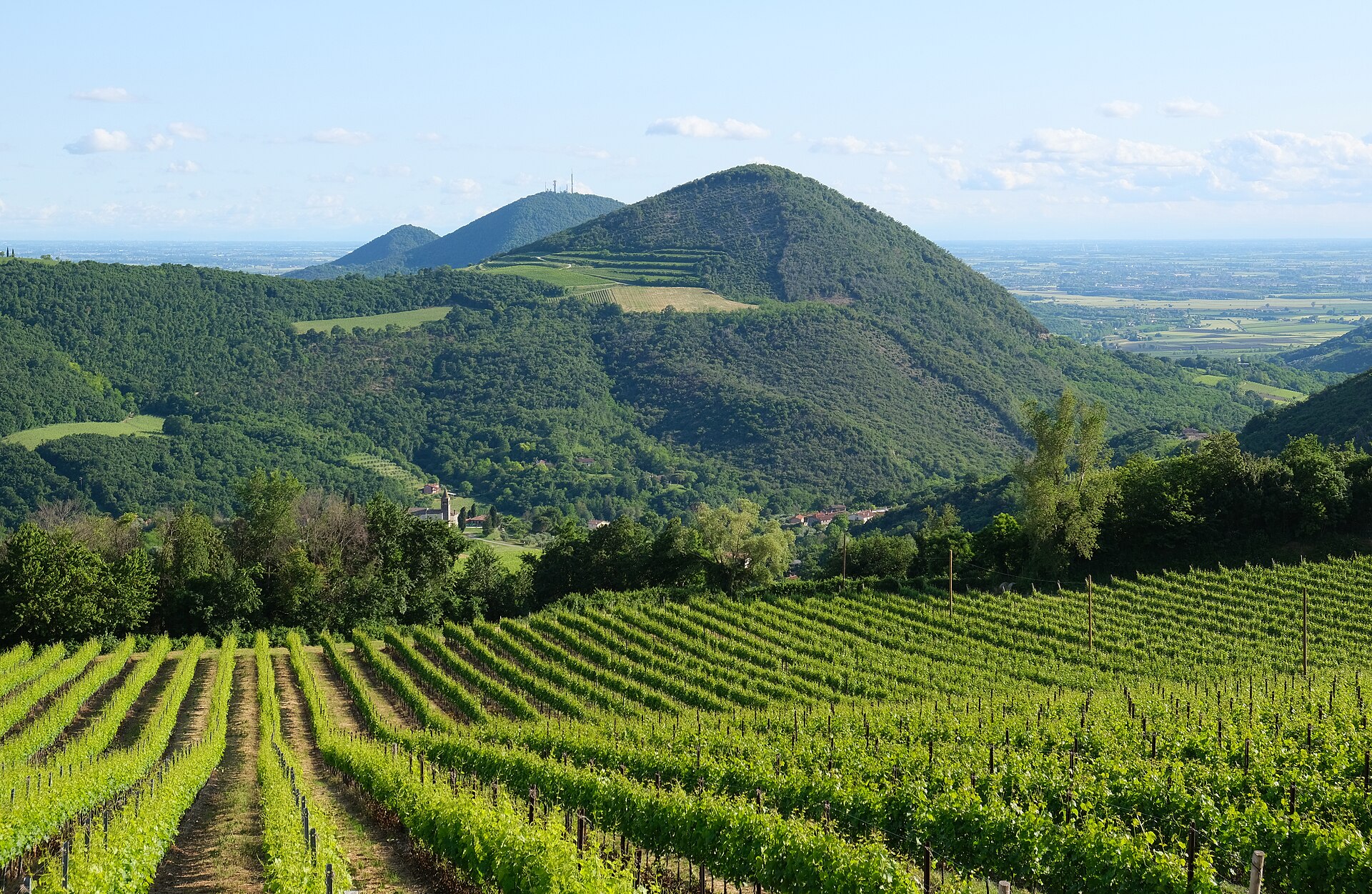 Euganean Hills — via Wikimedia Commons Euganean Hills — via Wikimedia Commons