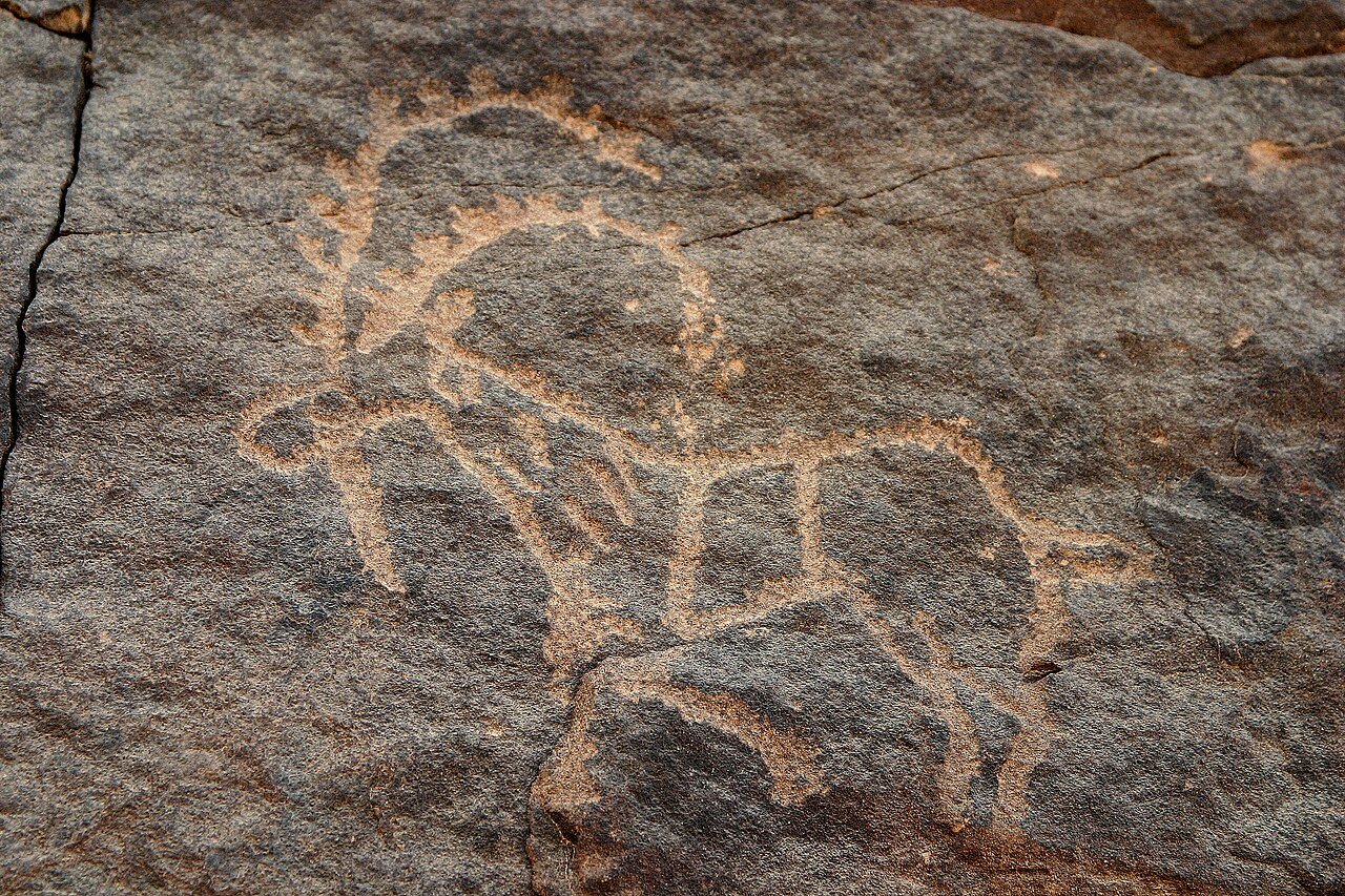 Petroglyph at Bir Hima, Hima Cultural Area, UNESCO World Heritage Site