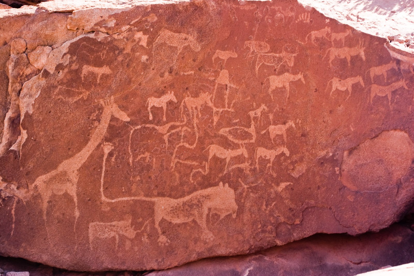 Ancient San petroglyphs depicting a giraffe and lion at Twyfelfontein, Namibia