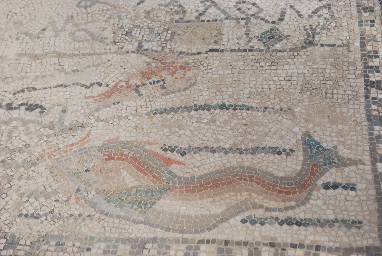Detailed Roman mosaic floor with geometric and figural designs at Volubilis Morocco
