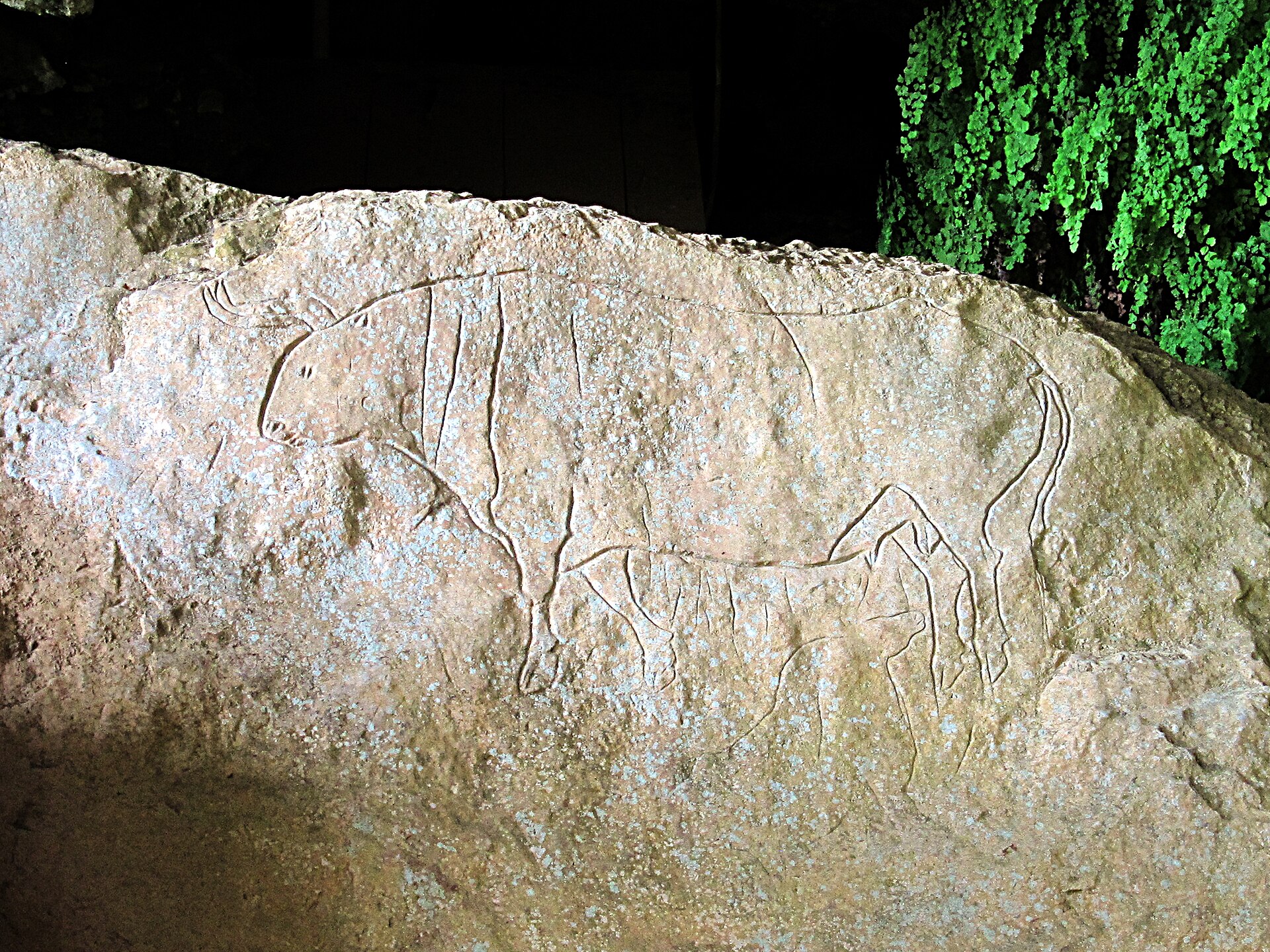 Romito cave — via Wikimedia Commons