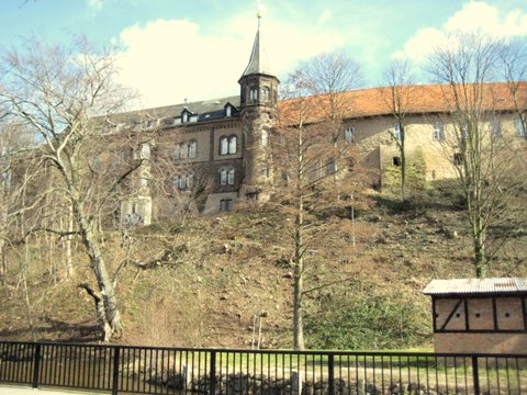 Ilsenburg House — view