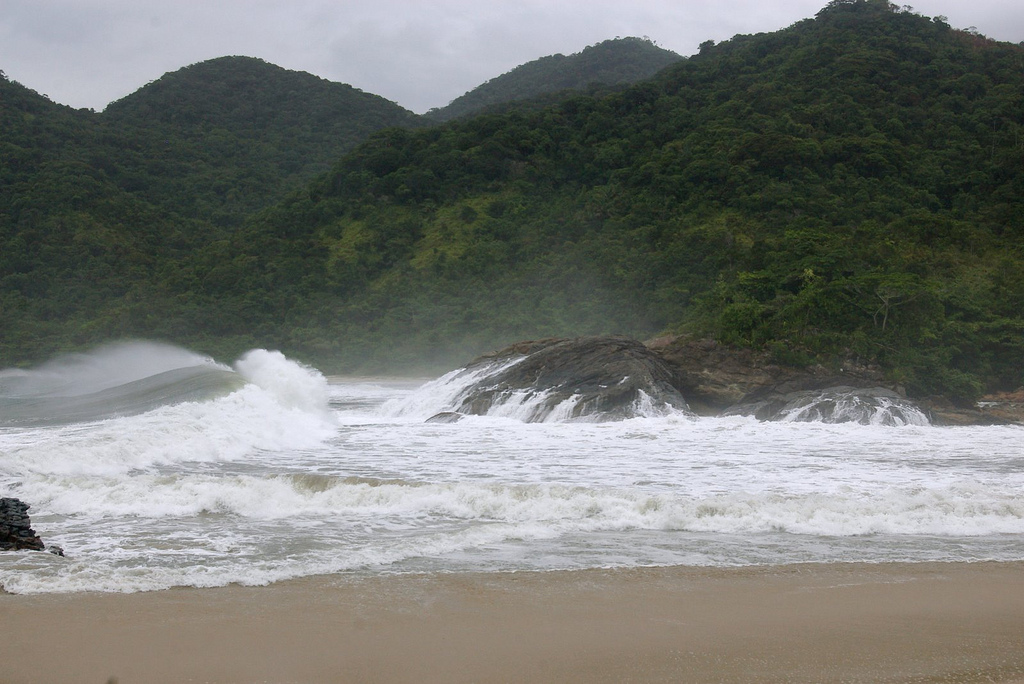 Dense Atlantic Forest vegetation on the slopes of Serra da Bocaina, Brazil