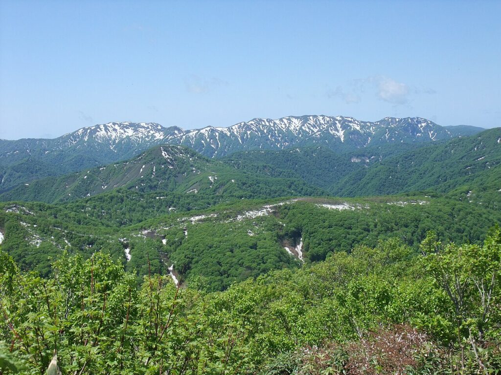 Shirakami-Sanchi Primeval Beech Forest: Guide