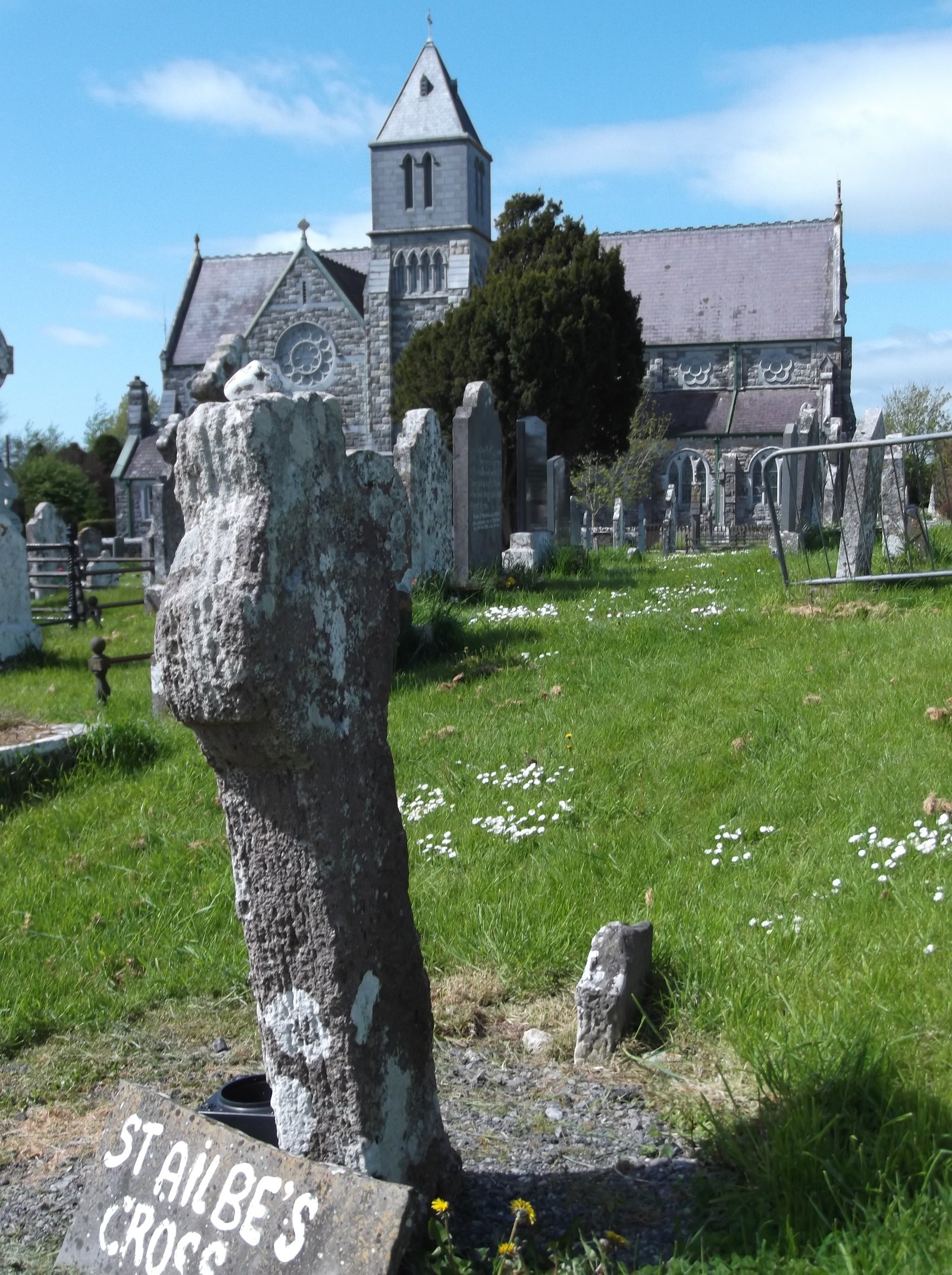 St Ailbe's Church — view