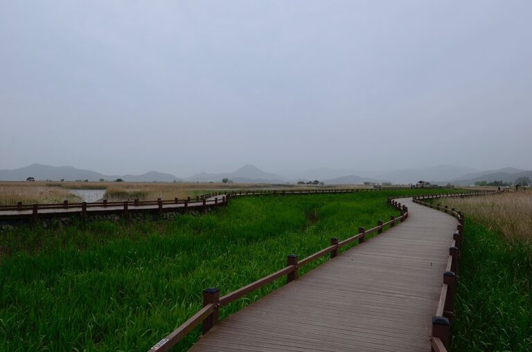 Getbol Korean Tidal Flats Ecology: Travel Guide