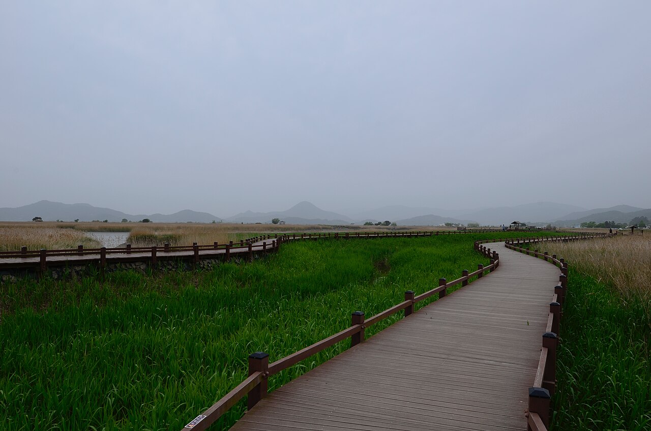 The Suncheon Bay reed marshes and tidal mudflats at dusk, South Jeolla Province, South Korea — the most extensive coastal wetland in South Korea, forming the Boseong-Suncheon component of the UNESCO World Heritage Getbol Korean Tidal Flats inscribed in 2021
