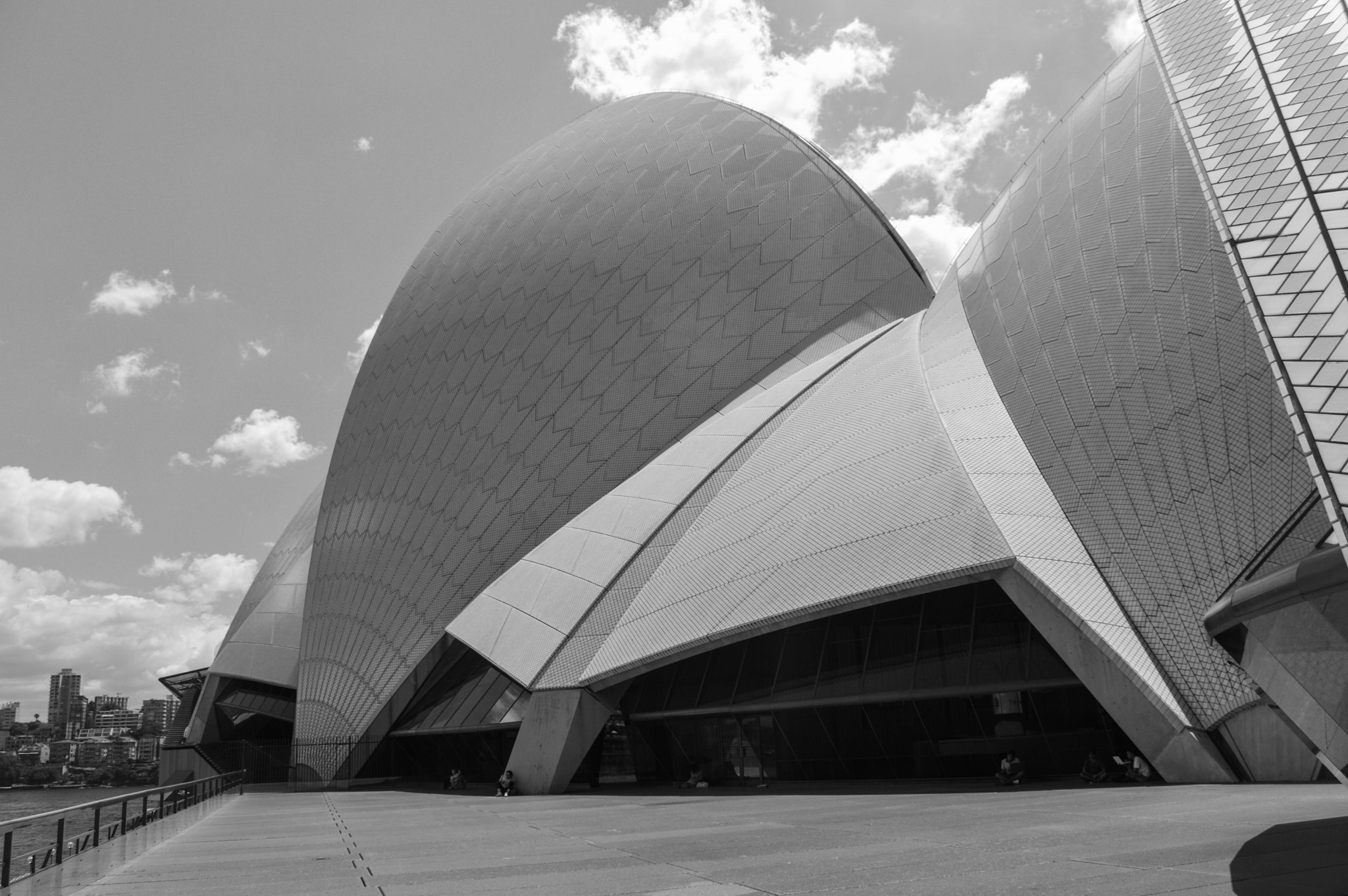 Sydney Opera House shell roof vaults reflected in harbour waters at dusk