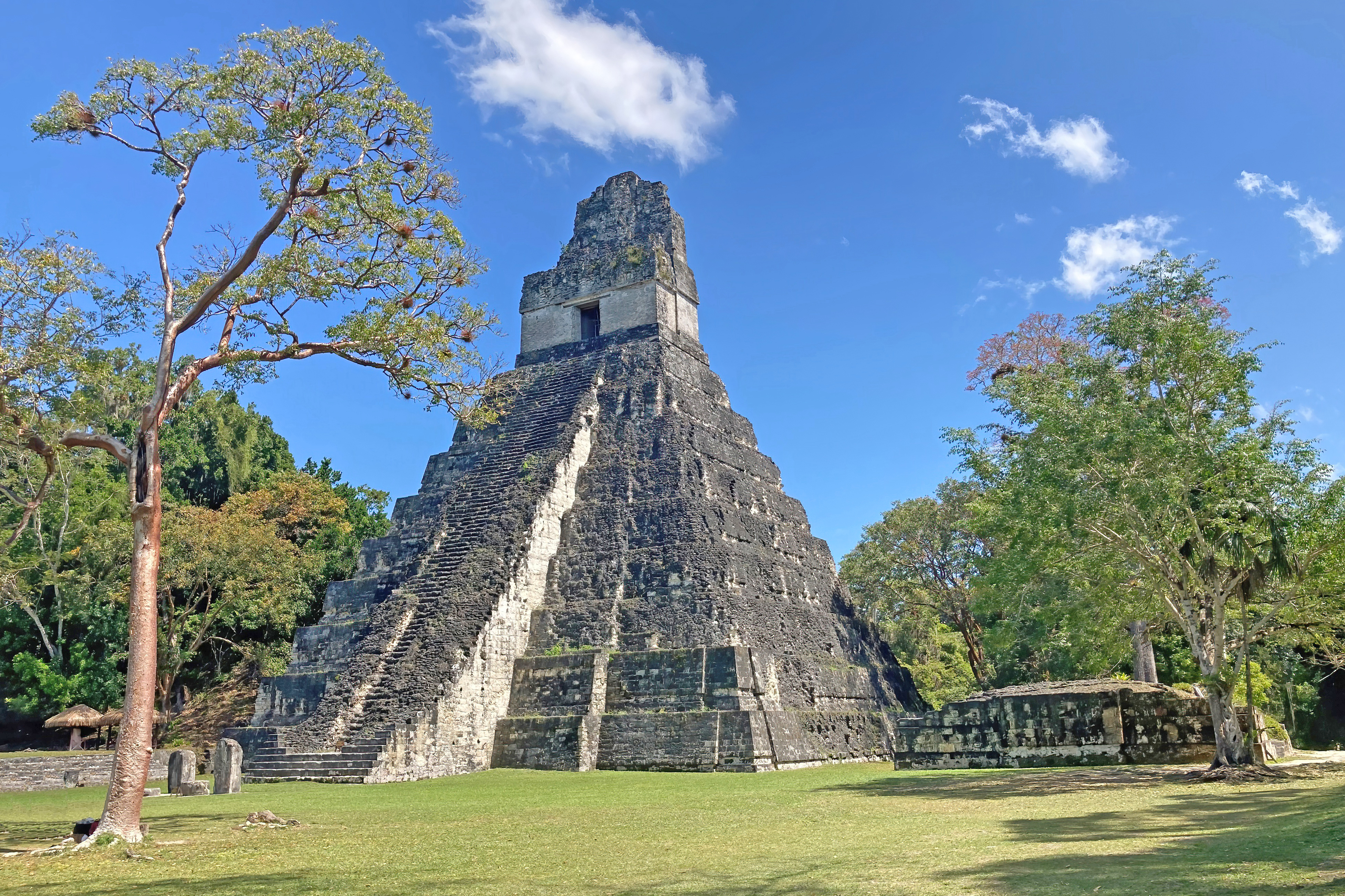 Temple I the Temple of the Great Jaguar rising above the jungle canopy at Tikal Petén