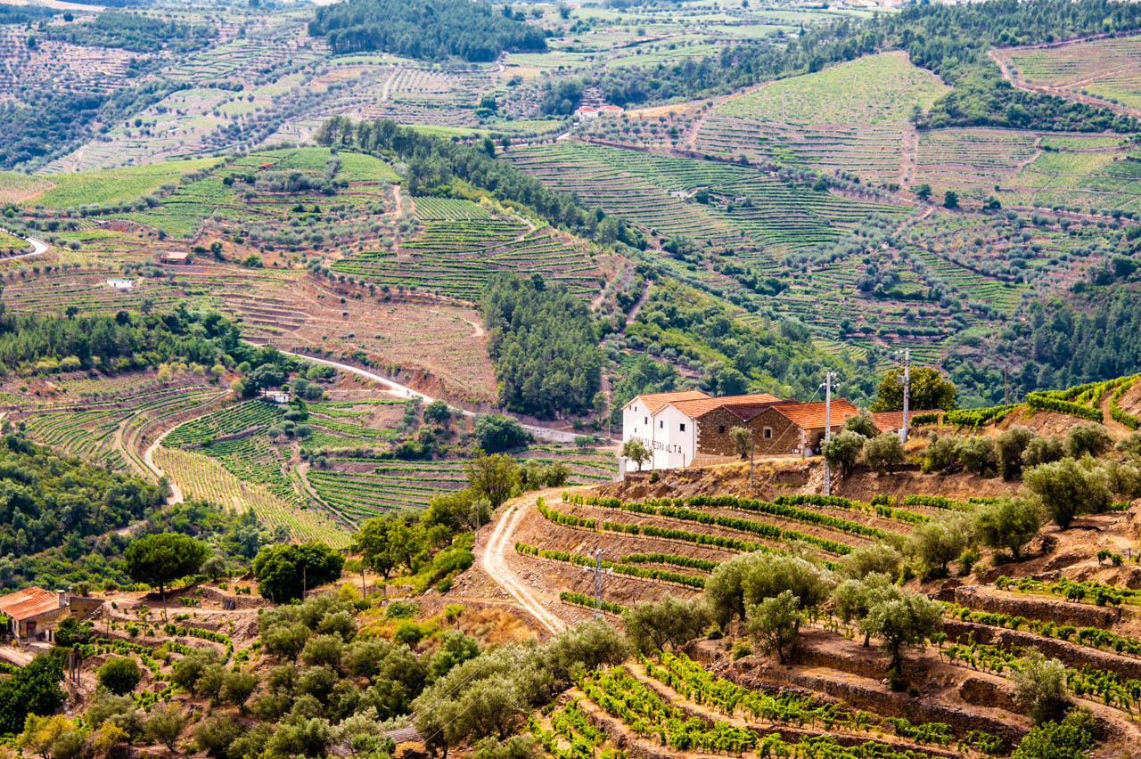 Terraced vineyards above the Douro River in the Alto Douro Wine Region, Portugal — the oldest demarcated wine region in the world