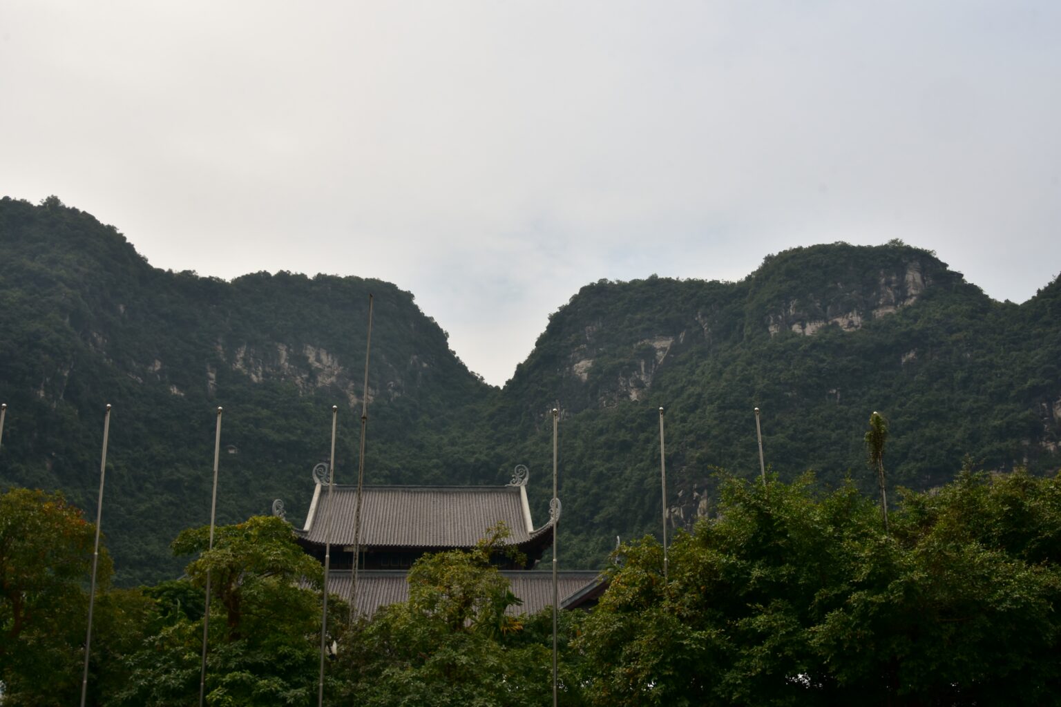 A tiled temple roof standing among trees at the foot of the karst ridges at Trang An