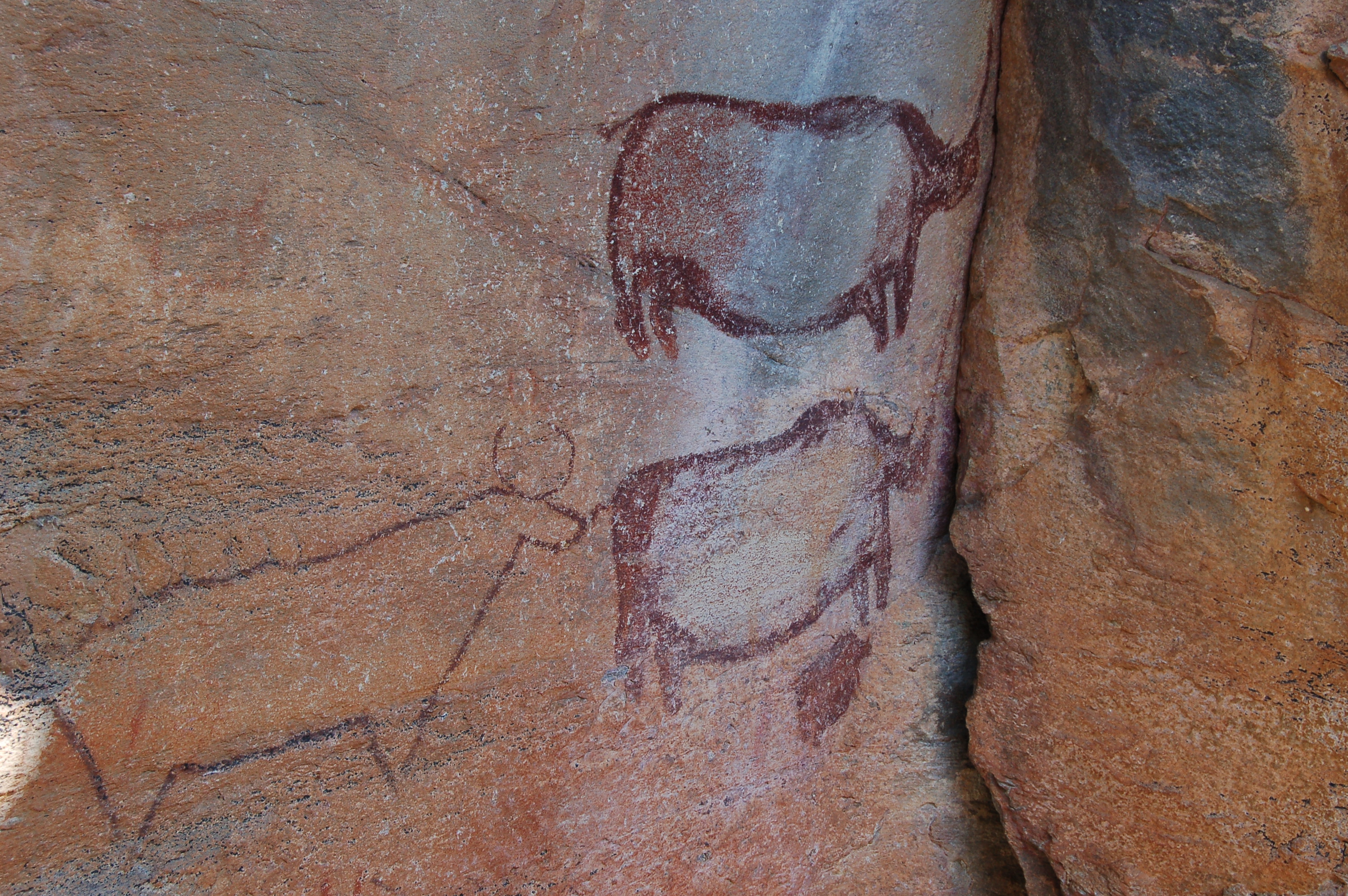 Ancient San rock paintings on sandstone surface at Tsodilo Hills Botswana