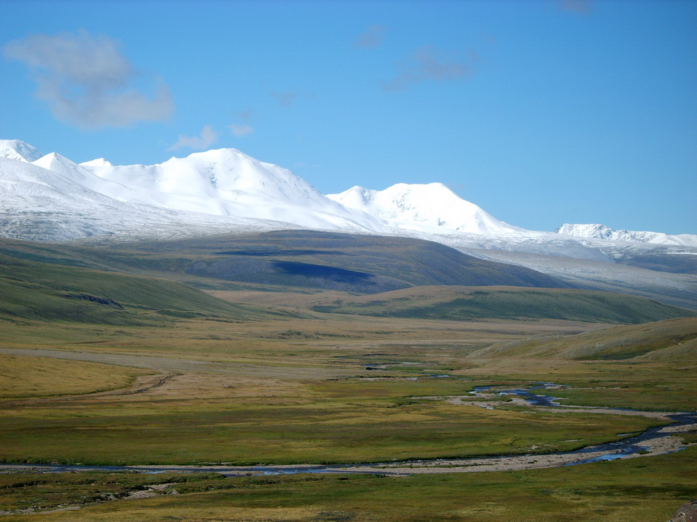 Wide open treeless Ukok Plateau landscape with distant mountains, Altai Republic
