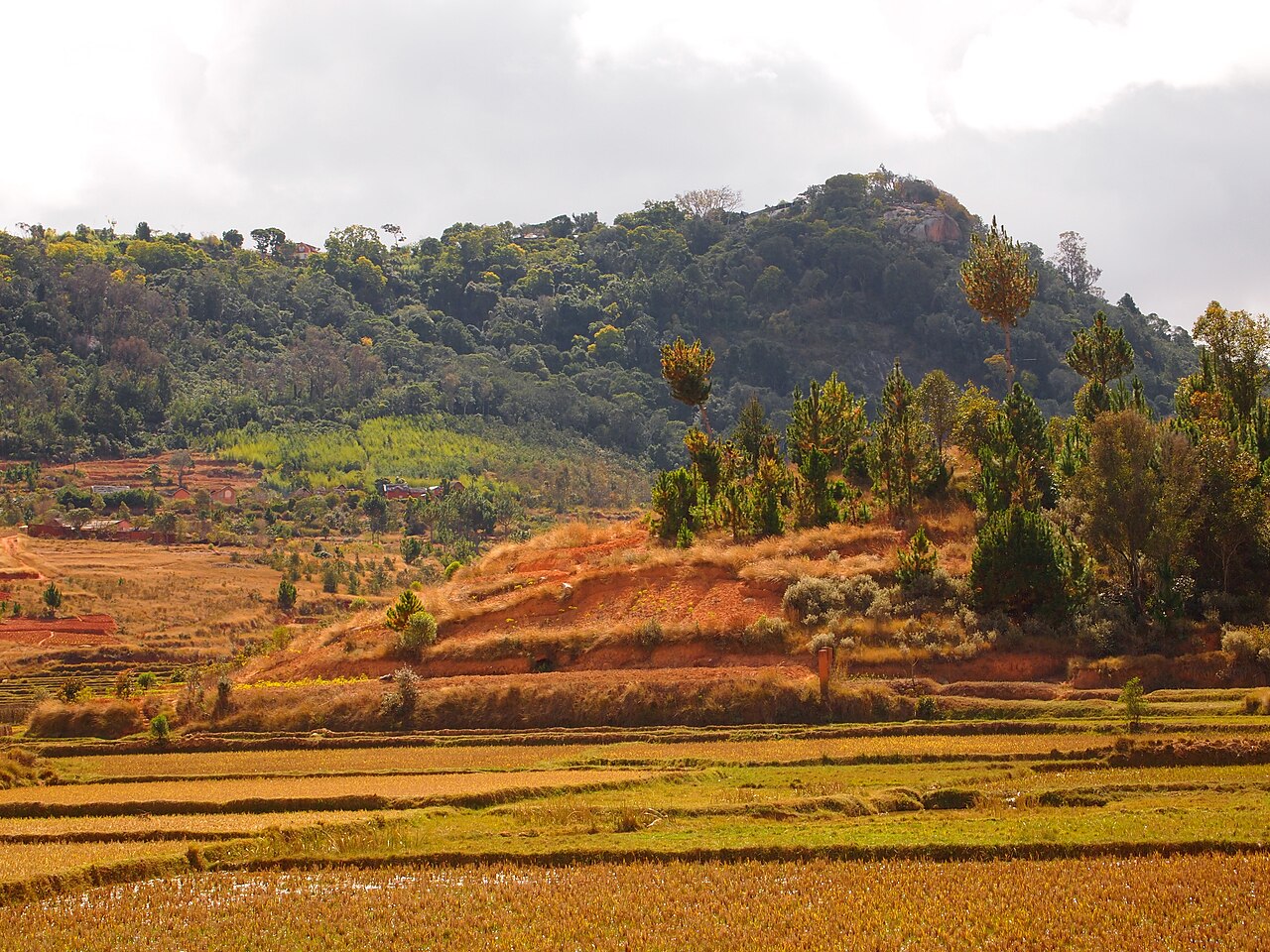 View of the Rova (royal enclosure) on the Ambohimanga sacred hill, Imerina highlands, Madagascar