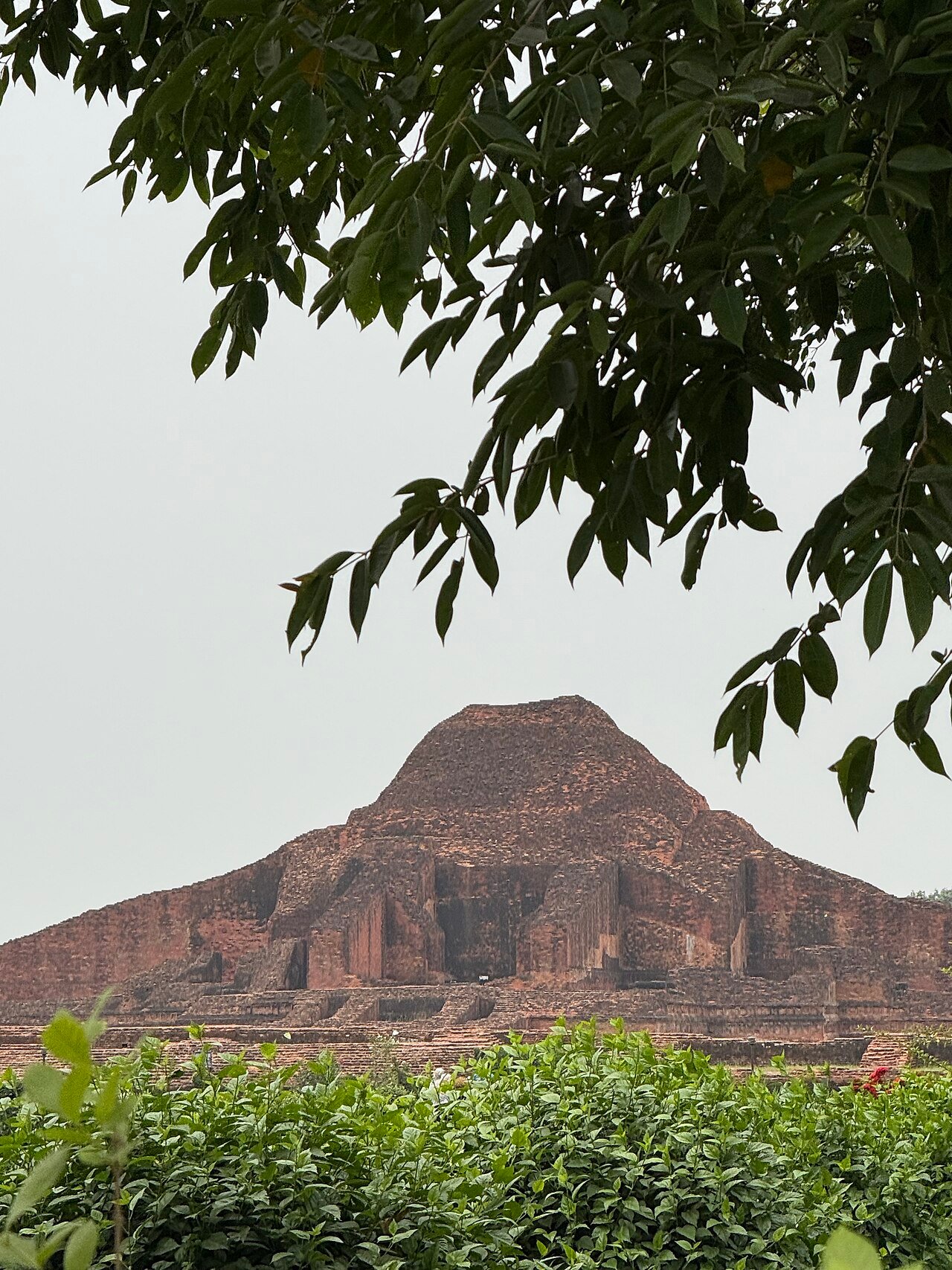 Ruins of Somapura Mahavihara central temple seen through tree foliage at Paharpur