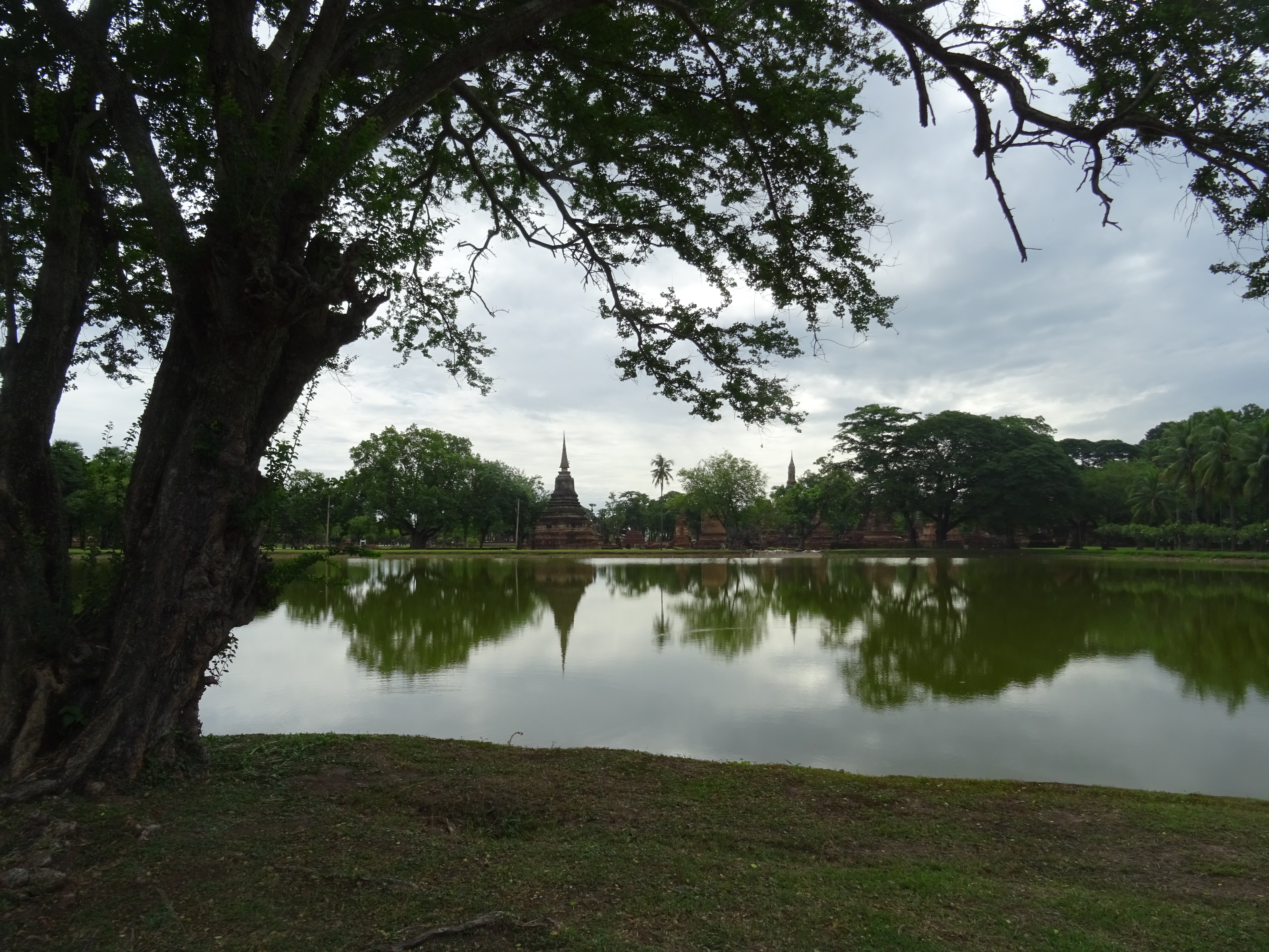 Wat Mahathat temple ruins reflected in lotus pond, Sukhothai Historical Park