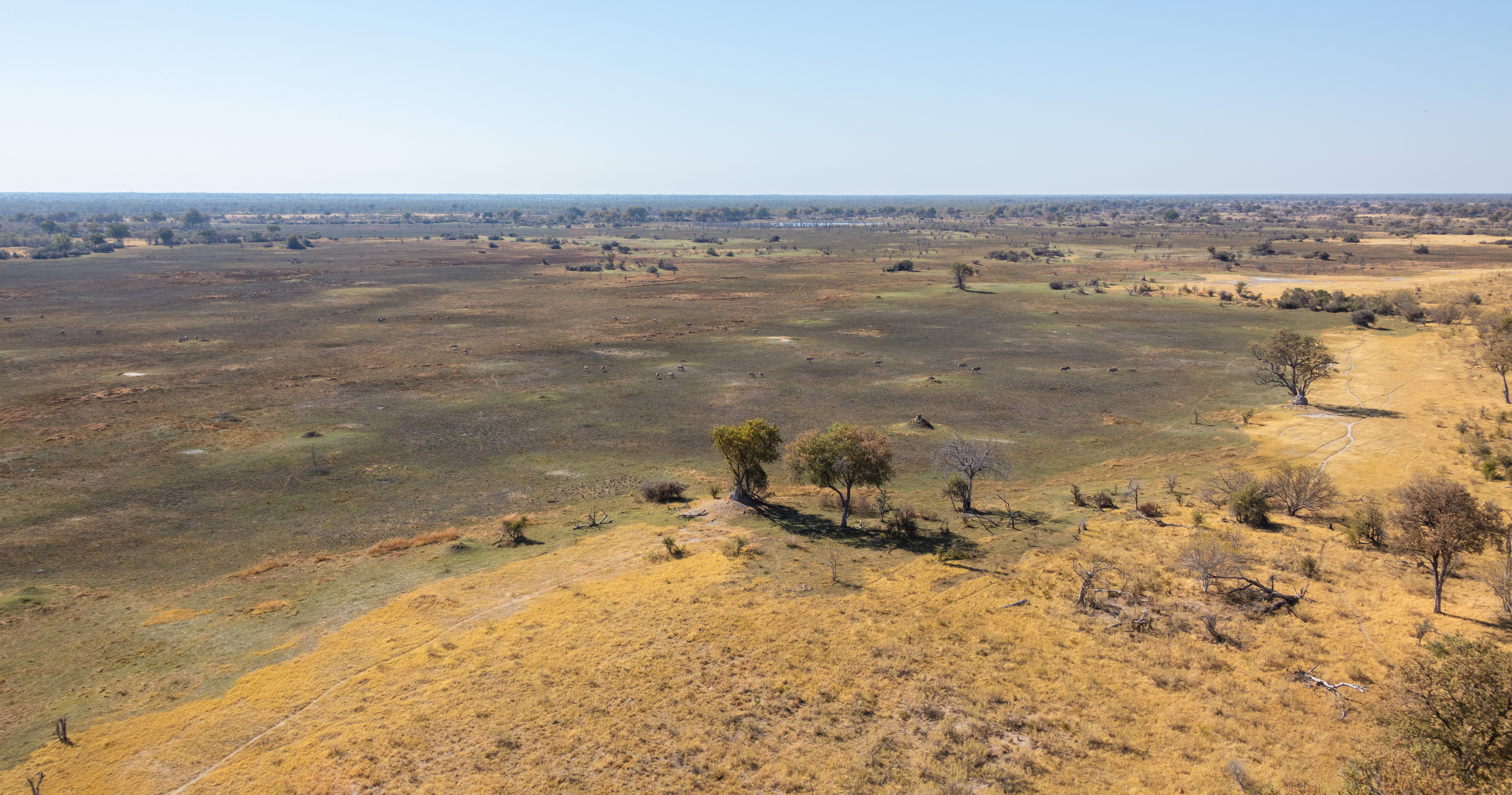 Aerial view of Okavango Delta water channels and islands spreading across Botswana Kalahari