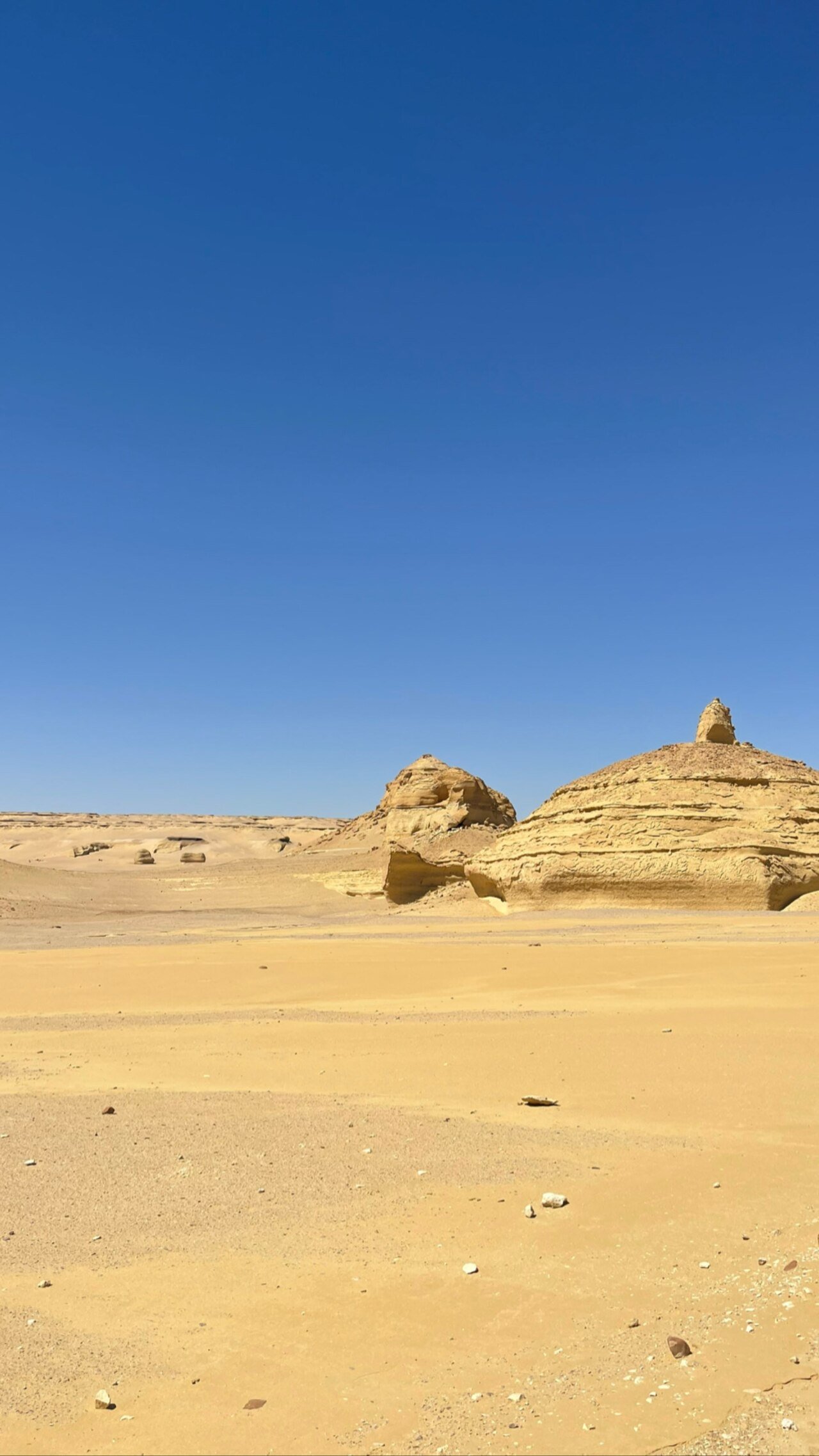 Wadi Al-Hitan Whale Valley — UNESCO World Heritage Site
