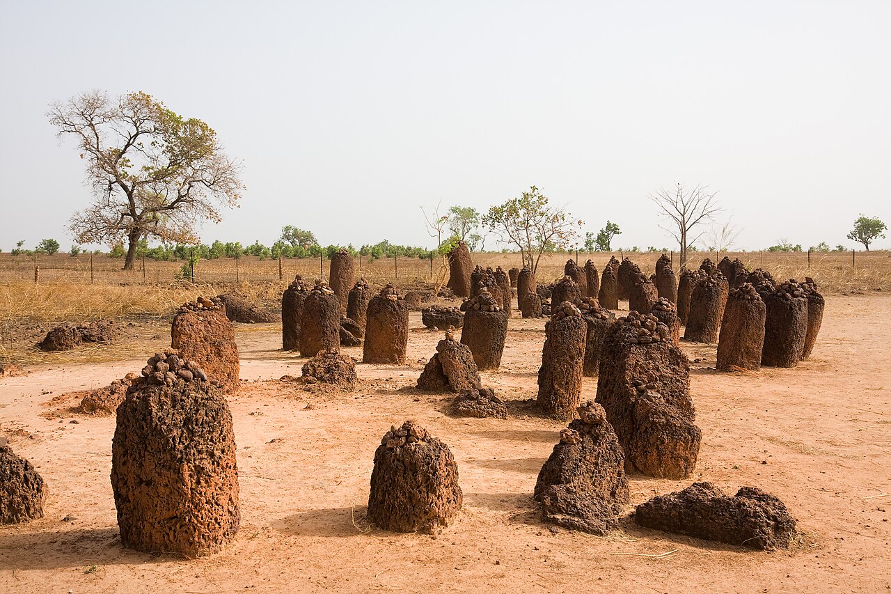 Laterite monolith stone circles at Wassu, Gambia, standing in dry savanna landscape