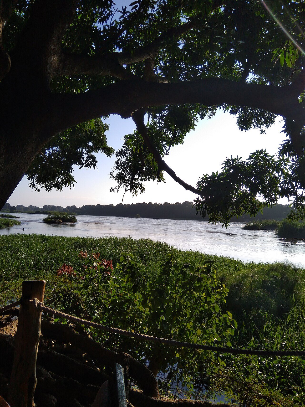 The White Nile river in South Sudan, a wide brown river flowing through flat grassland
