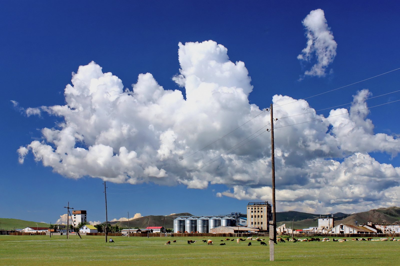 Ruins of Karakorum with monastery walls and open Mongolian steppe in the background