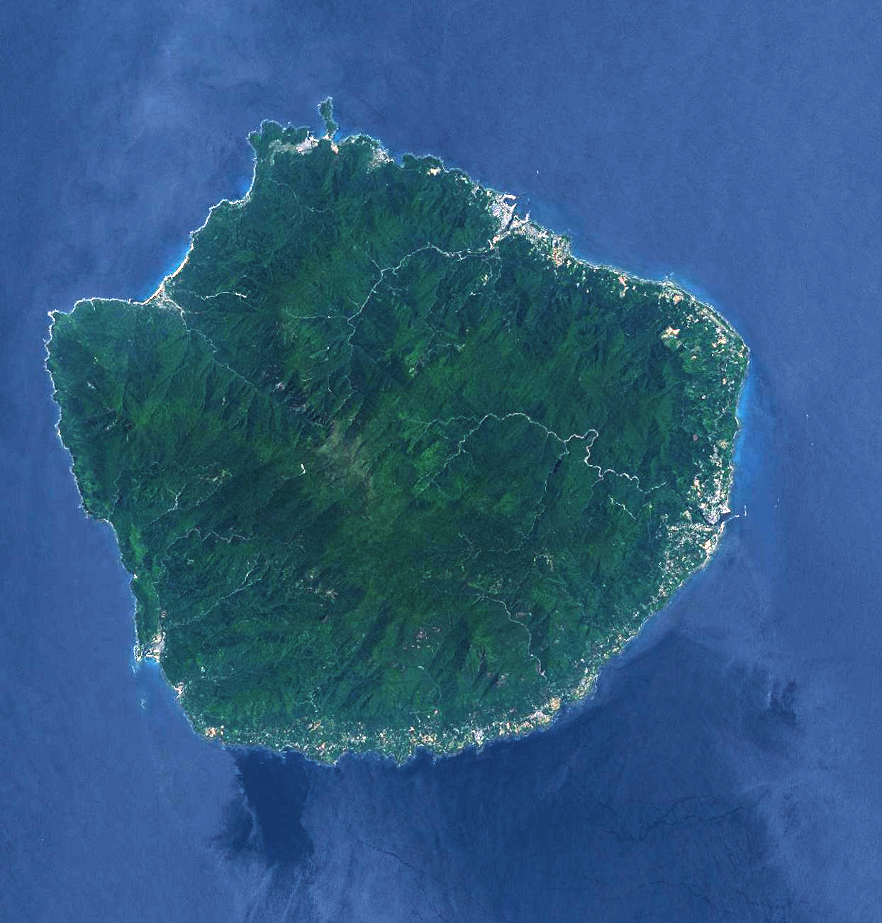 Yakushima island, Kagoshima prefecture, Japan — satellite image of the UNESCO-inscribed island covered in ancient cedar forest, with the Miyanoura-dake peak at 1,936 metres rising from the subtropical coast