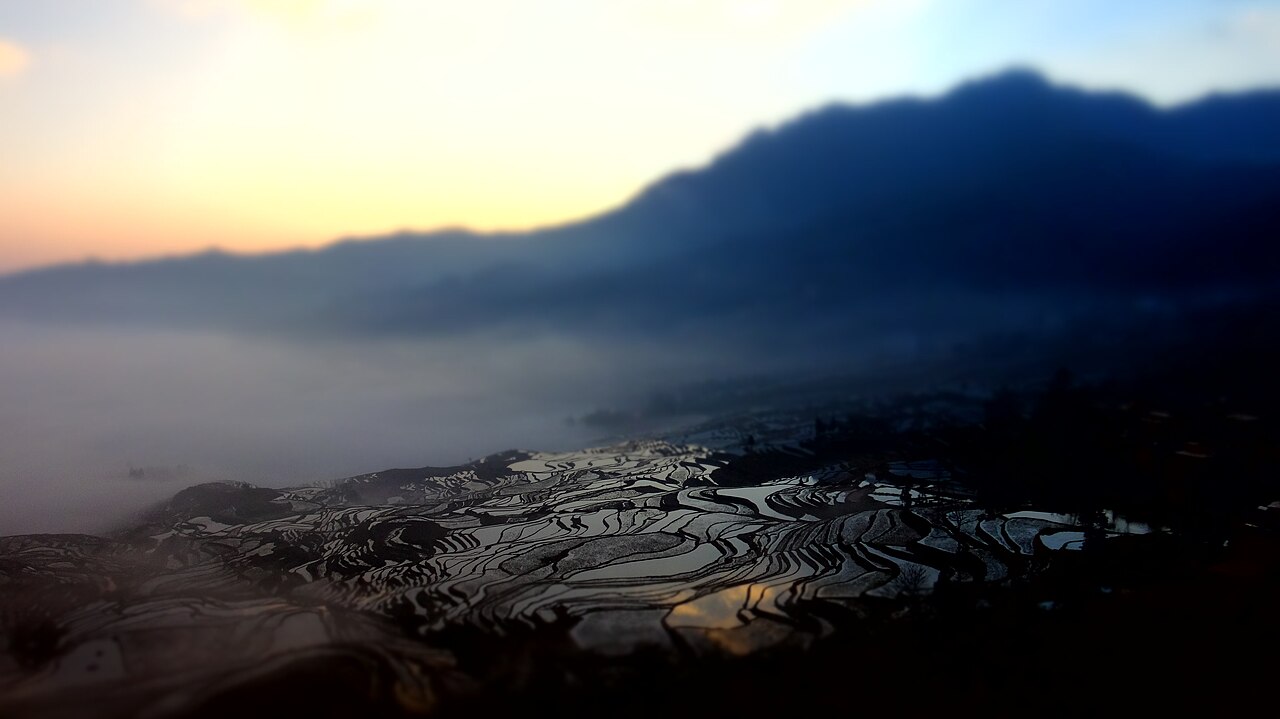 The Yuanyang Hani Rice Terraces at sunrise in Yunnan Province, China, with flooded winter terraces reflecting clouds and dawn light across thousands of cascading rice paddy steps descending into the valley