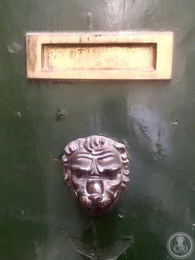 Polished bronze lion head doorknob and brass mail slot on dark green timber portal in Venice