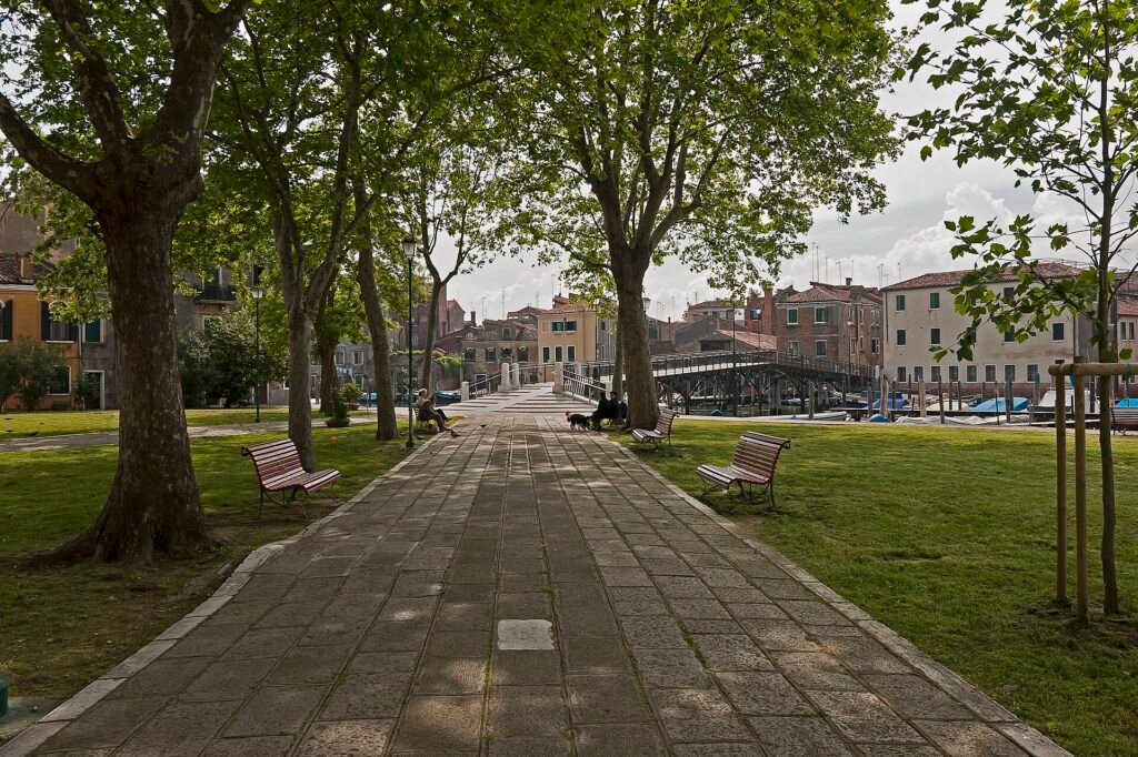 Static Cinema 2026 — San Pietro Cantieri del Contemporaneo, Venice