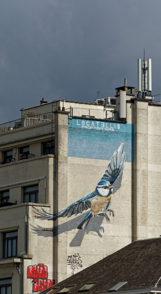 Upper floors of the former Minerva building on the Rue de Namur in Brussels, with stepped-back attic storeys on the left and a large mural of a blue tit in flight on the blind side wall