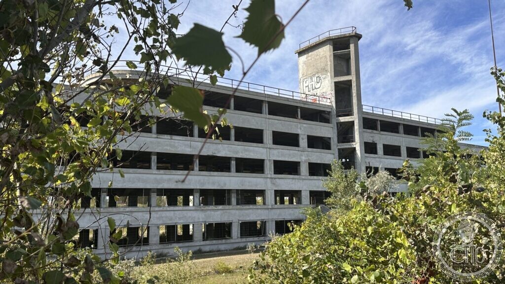 Three-quarter view of the colony with vegetation in the foreground and paint marks on the tower