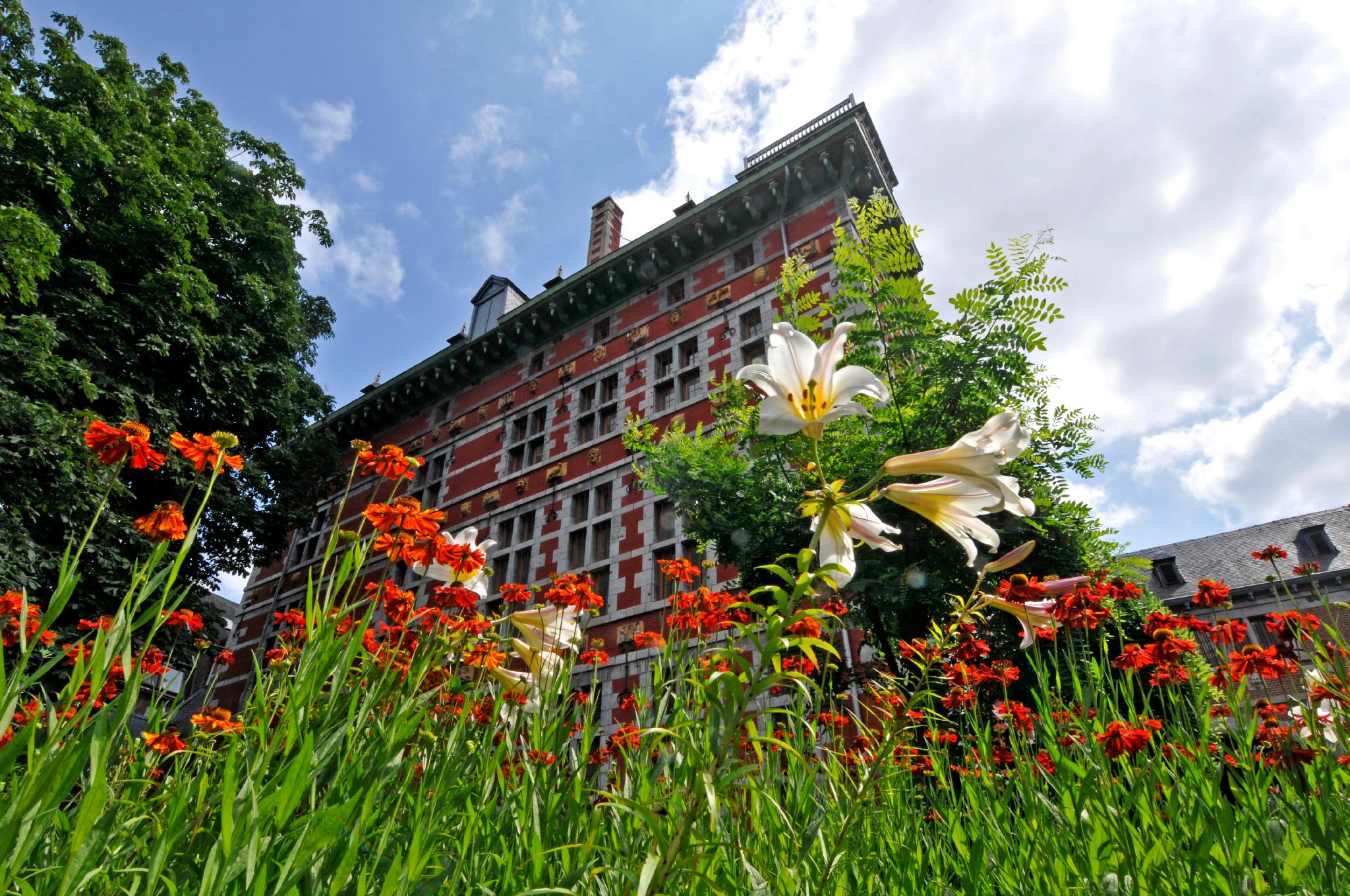 The red-brick and stone facade of the Grand Curtius in Liège seen from below through a bed of orange flowers and white lilies