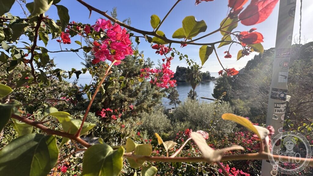 The Isola Bella seen from the path above, framed by pink and red bougainvillea