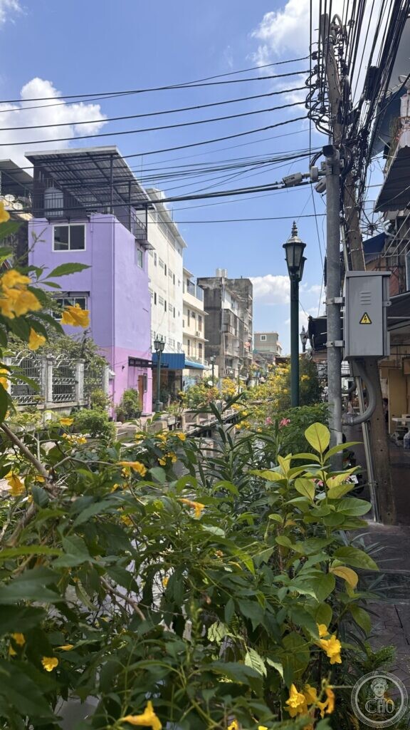 Yellow flowering shrubs in the foreground along the canal, with a purple-painted building and overhead cables behind