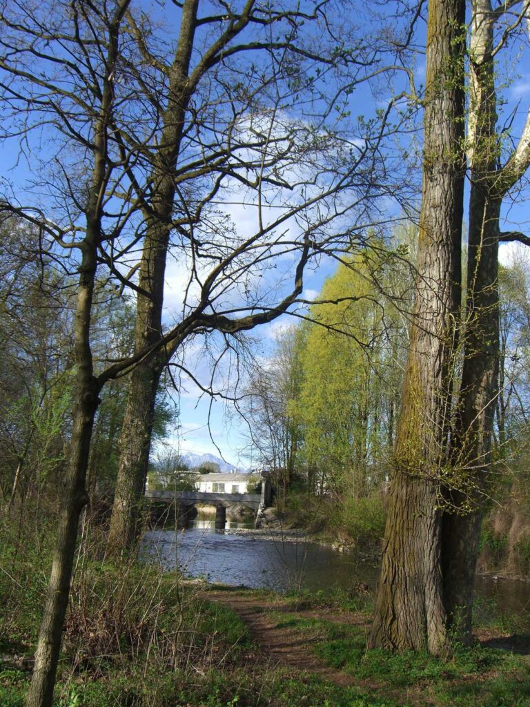 Panoramic view from the Parco di Monza towards the snow-covered prealpine peaks