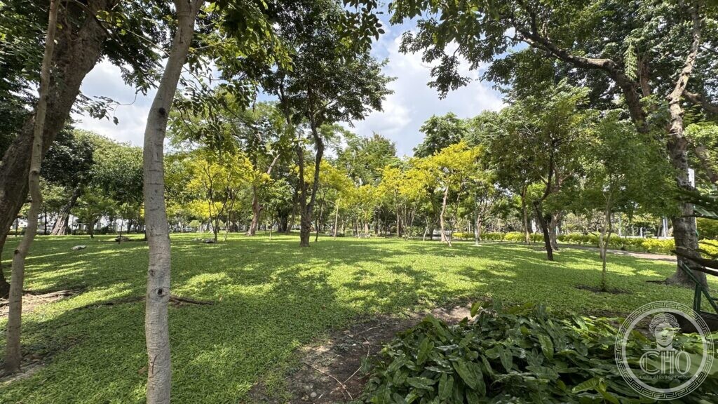 Large old trees over open lawn in Saranrom Park, with yellow-flowering trees behind