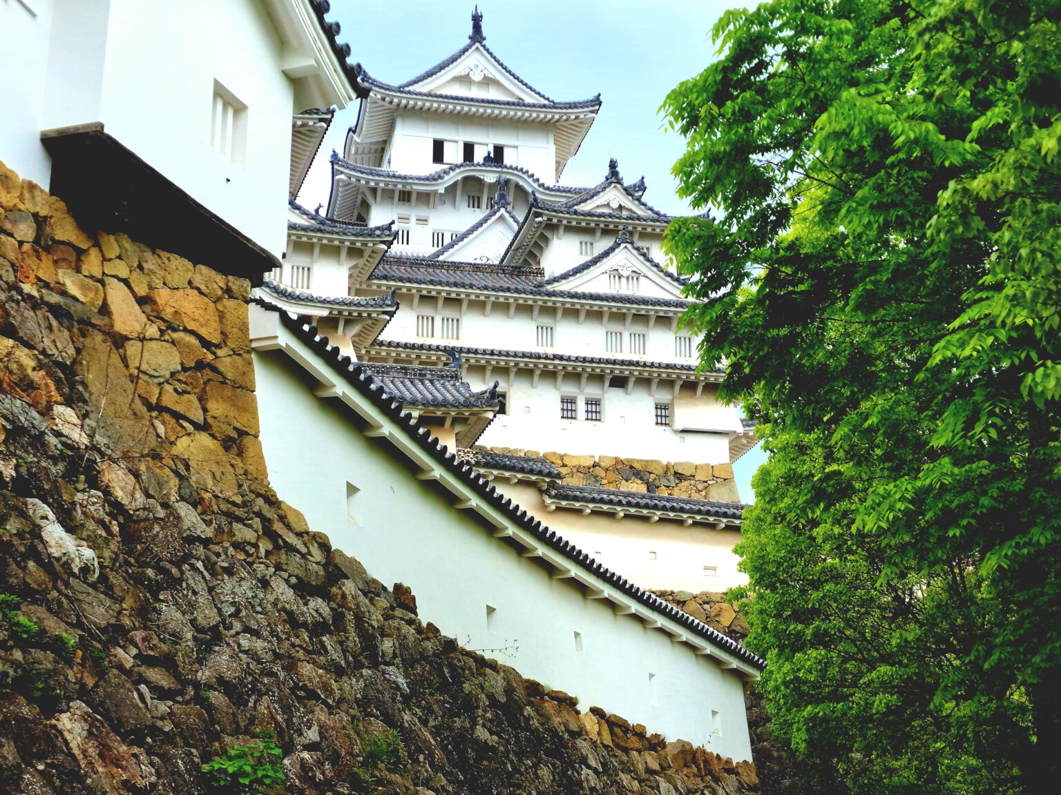 A close view of Himeji's white plastered walls and tiled gables climbing the curved stone rampart, green foliage at the edge