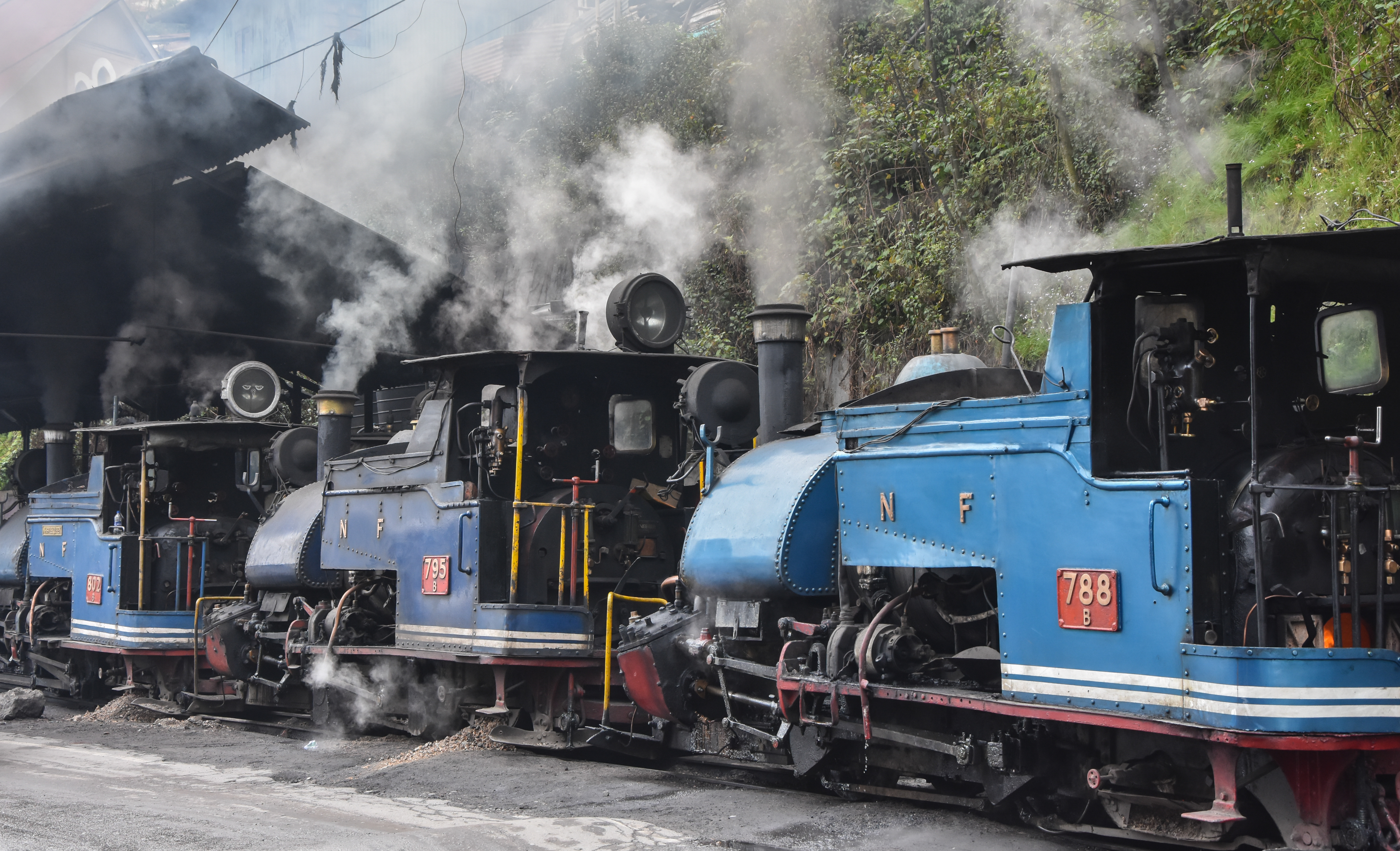 Darjeeling Himalayan Railway — photograph