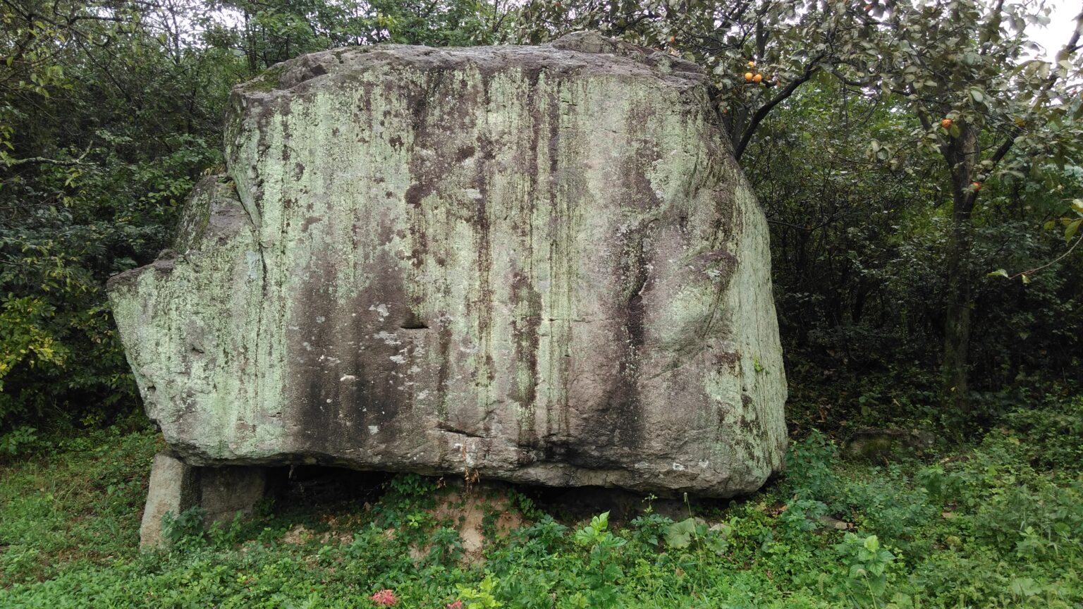 A large lichen-covered stone block standing among trees at the Gochang dolmen site