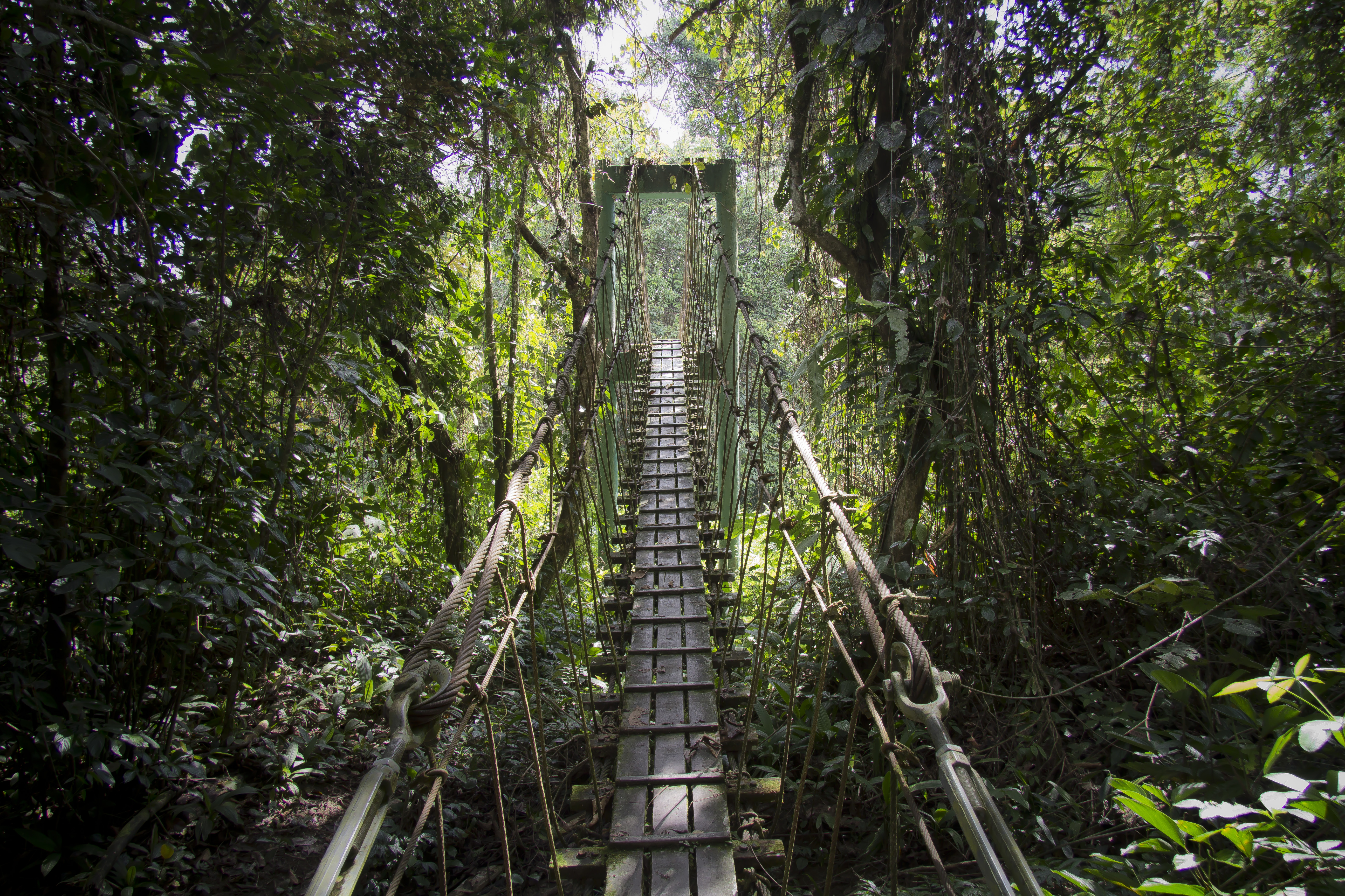 Gunung Mulu — photograph